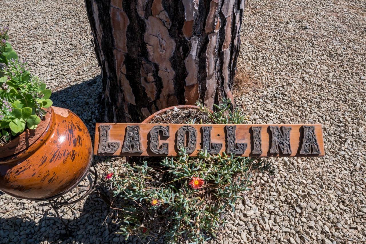 Tognazzi Casa Vacanze - La Collina Di ซานจีมิญญาโน ภายนอก รูปภาพ